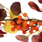 Northlight 5ft. Berries & Leaves Artificial Fall Harvest Garland - image 5