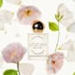 Voesh Seaside Serenity Room & Fabric Fragrance Set - $95 Value - image 11