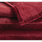 Truly Soft Plush Family Blanket - image 4