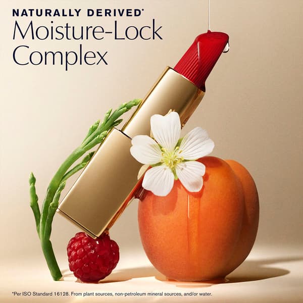 Est&#233;e Lauder&#8482; Pure Color Hi-Lustre Lipstick