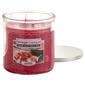 Yankee Candle(R) 12oz. Watermelon Slice Medium Tumbler Candle - image 1
