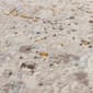 Mohawk Home Helios Grey Runner - image 6