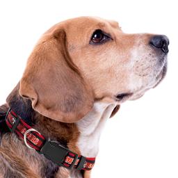 NFL San Francisco 49ers Dog Collar
