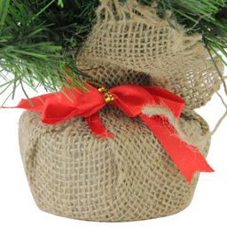 Northlight Seasonal 24in. Medium Pine Artificial Christmas Tree