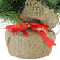 Northlight Seasonal 24in. Medium Pine Artificial Christmas Tree - image 4