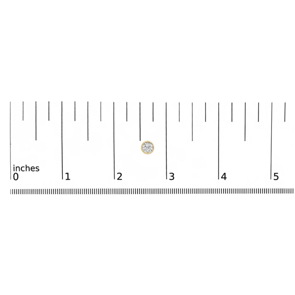 Haus of Brilliance Lab Grown Diamond Screwback Bezel Stud Earrin
