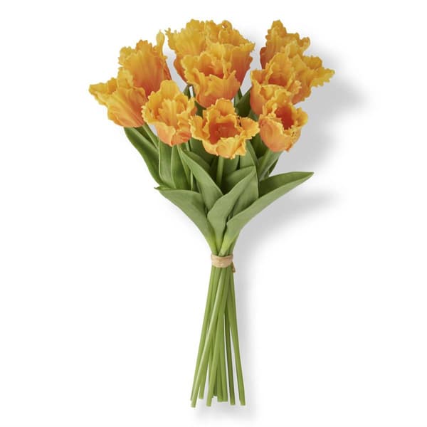 K&K Interiors Light Orange Parrot Tulip Bundle - image 