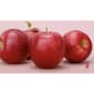 Elizabeth Arden Smooth, Repair, and Firm 3pc. Skincare Gift Set - image 9