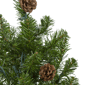 Northlight 3ft. Pre-Lit Canadian Pine w/ Pine Cone Christmas Tree - image 4