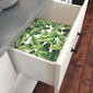 RoomMates® Palm Leaf Peel &amp; Stick Wallpaper - image 3