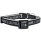 NFL Las Vegas Raiders Cat Collar - image 2