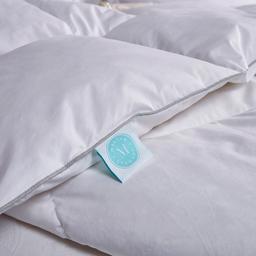 Blue Ridge Martha Stewart 250TC Goose Feather And Down Comforter