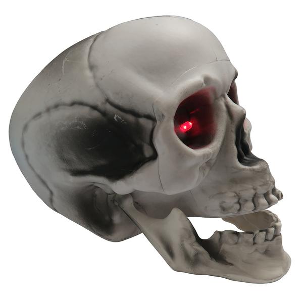 Battery Operated Skull with Color Changing Eyes