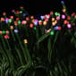 National Tree Dual Color&#174; LED Cosmic Lights&#174; Add On Set - image 2