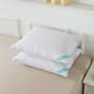 Waverly 300-Thread Count Down Pillow - image 5