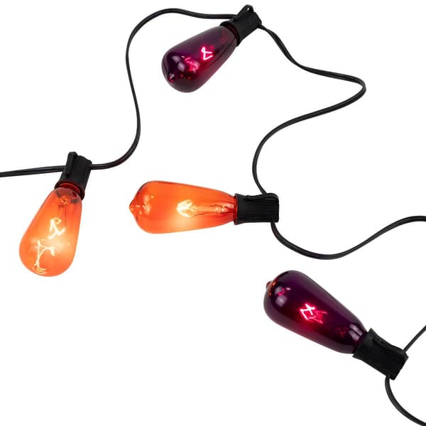 Northlight Seasonal 10ct. Purple & Orange Edison Halloween Lights