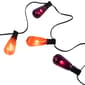 Northlight Seasonal 10ct. Purple & Orange Edison Halloween Lights - image 2