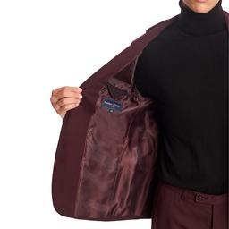 Mens Paisley & Gray Solid Notch Suit Jacket - Burgundy Wine
