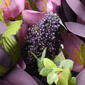 National Tree 19in. Rose Bundle - image 5