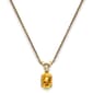 Gemstone Classics(tm) 14kt. Yellow Gold November Birthstone Necklace - image 1