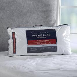 Wamsutta Dreamzone 750 Thread Count Bed Pillow