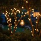 Northlight 25pk. Clear Incandescent Edison Style Christmas Bulbs - image 3