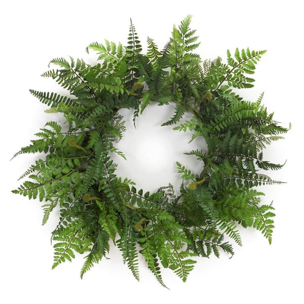 Melrose 24in. Mixed Fern Grapevine Wreath - image 