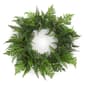 Melrose 24in. Mixed Fern Grapevine Wreath - image 1