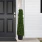 Northlight Seasonal 4ft. Pre-Lit Artificial Boxwood Topiary Tree - image 2