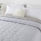 Waverly Antimicobial Reversible Down Alternative Blanket - image 5