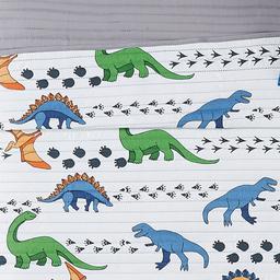 My World Dino Tracks Quilt Set
