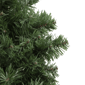 Northlight 24in. Colorado Spruce Christmas Wreath - image 3