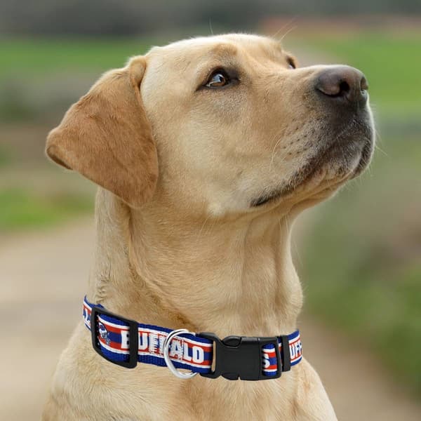 NFL Buffalo Bills Dog Collar