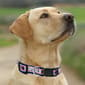 NFL Buffalo Bills Dog Collar - image 4