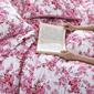 Betsey Johnson Floral Vineyard Quilt Set - image 4