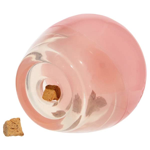 Bark Box Tipsy Rose Dog Toy