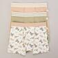 Toddler Boy Poppy & Clay 3pk. Dino Boxer Briefs - image 1