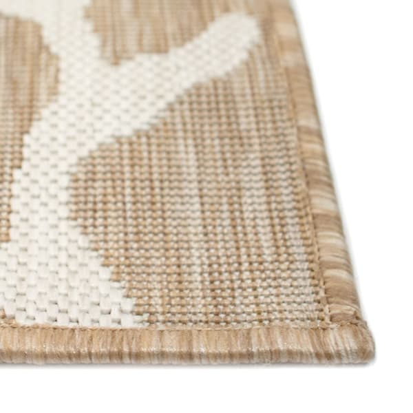 Liora Manne Carmel Coral Border Indoor/Outdoor Rectangle Area Rug