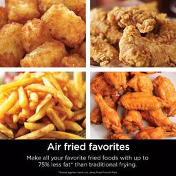 Ninja® Air Fryer
