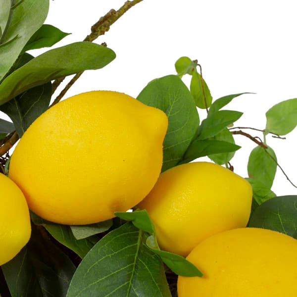 Northlight Seasonal Artificial Lemons &amp; Foliage Spring Wreath