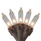 Northlight Seasonal 4ft. Brown Wire Mini Christmas Light Set - image 1