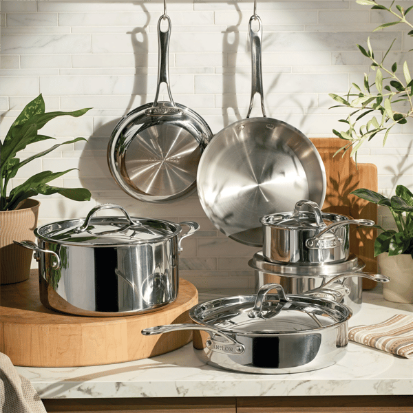 Anolon® EverLast 10pc. Tri-Ply Clad Cookware Set