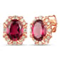 Le Vian&#40;R&#41; Raspberry Rhodolite & Nude Diamonds&#40;tm&#41; Stud Earrings - image 1
