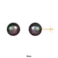 Splendid Pearls 14kt. Gold 10mm Round Pearl Stud Earrings - image 2