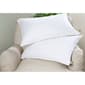 St. James Home White Nano Feather(tm) Blend Pillow - image 1
