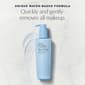 Est&#233;e Lauder&#8482; Take It Away Makeup Remover Lotion - image 4