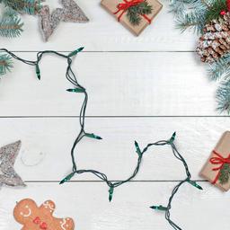 Northlight Seasonal 100ct. Teal Green Mini Christmas Lights