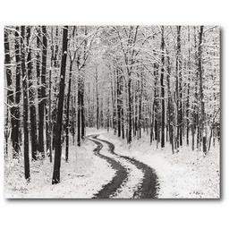 Courtside Market Snowy Country Road Wrapped Canvas Wall Art