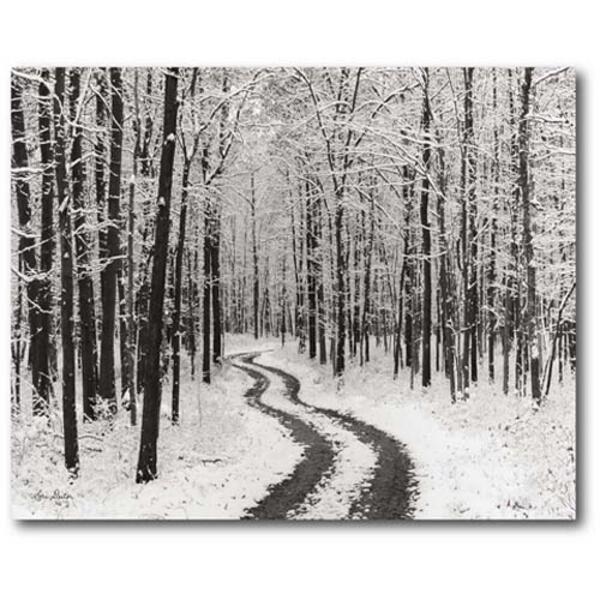Courtside Market Snowy Country Road Wrapped Canvas Wall Art - image 