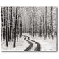 Courtside Market Snowy Country Road Wrapped Canvas Wall Art - image 1